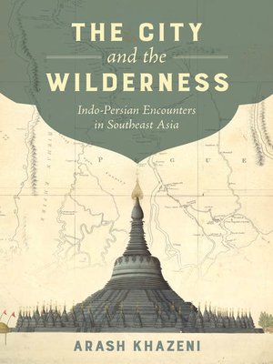 cover image of The City and the Wilderness